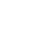 Webinar